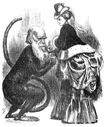 This is a cartoon making fun of Darwin’s theories of emotion from 1872. An apelike animal with the head of Darwin stands opposite a woman dressed up for an outing.