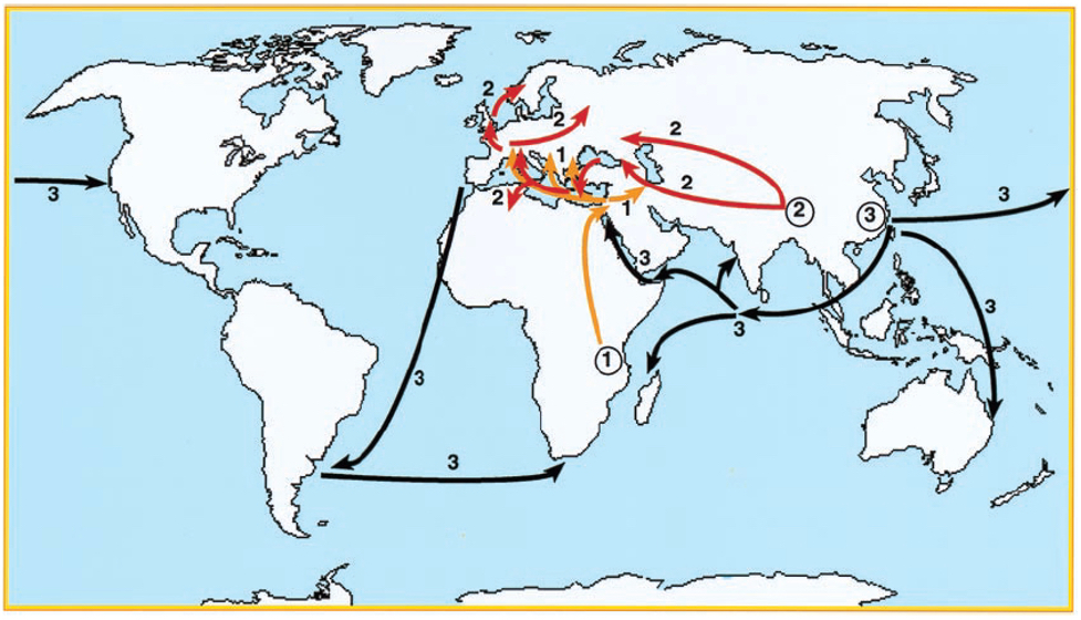 map of world with arrows pointing from one region to the next showing three distinct pandemic waves