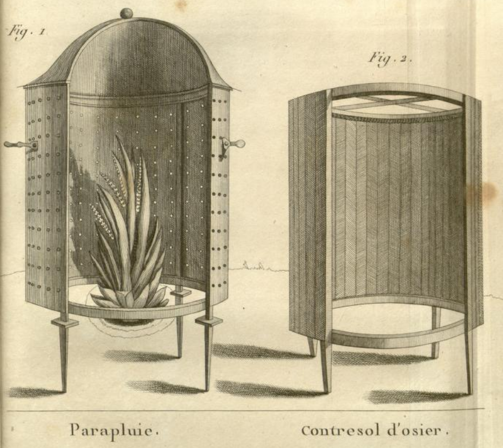 Print showing cannister like containers in cut-away drawing, with left labeled parapluie and right contresol d'osier, and with a plant in the left one.