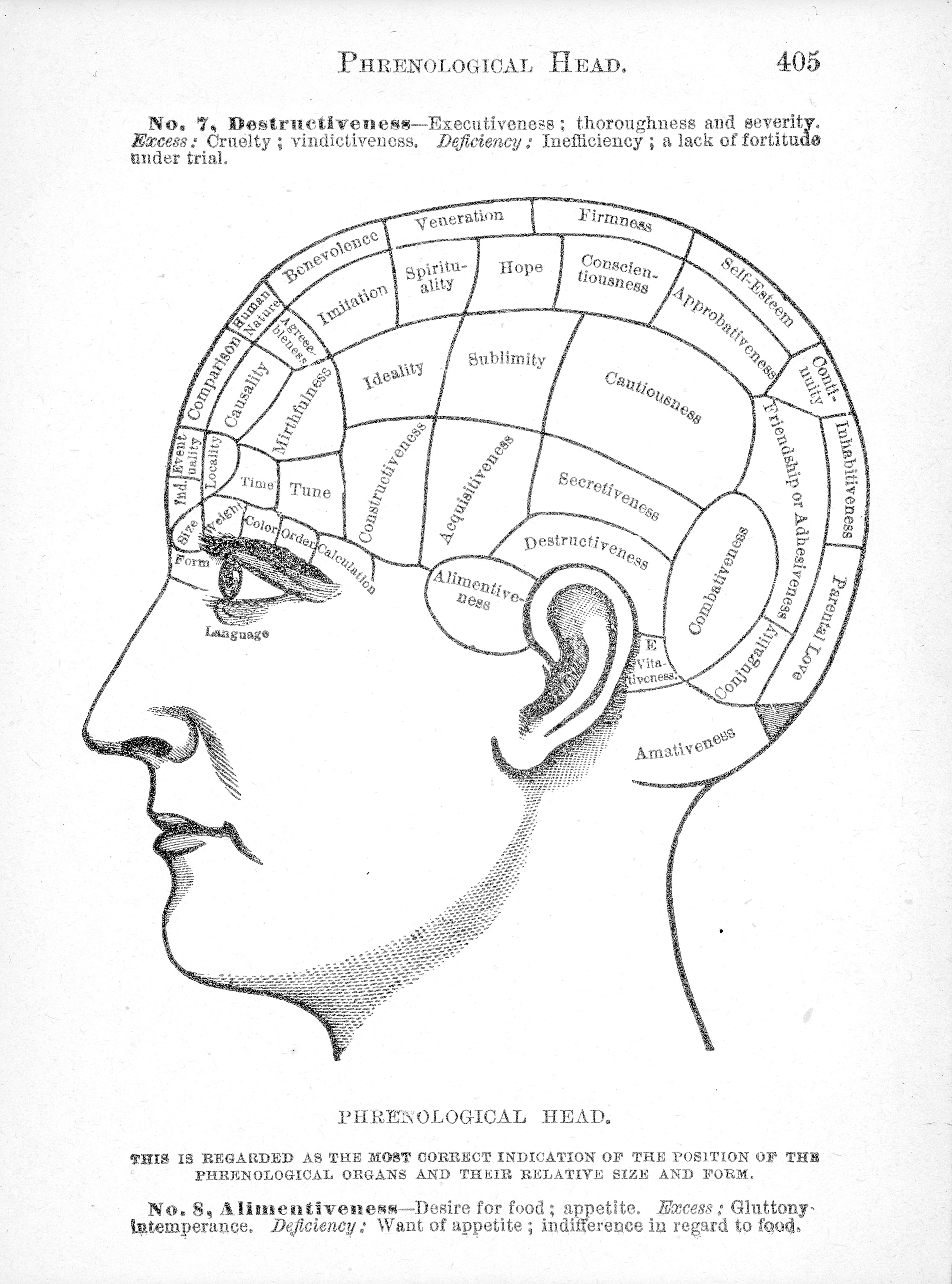 Phrenological diagram taken from Nelson Sizer's book.