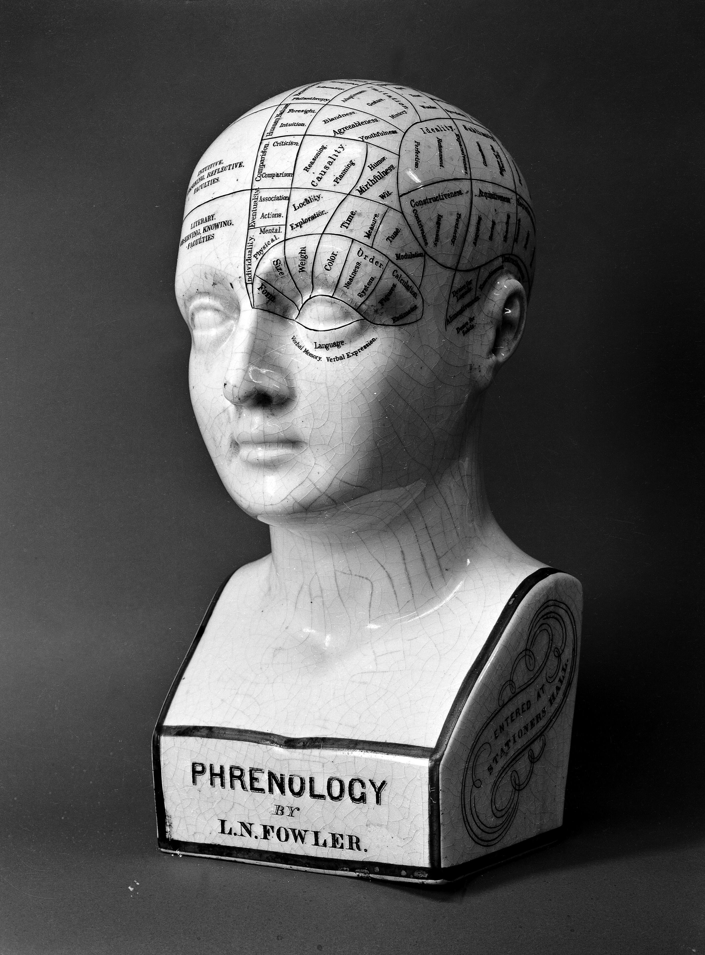 A ceramic phrenological head.