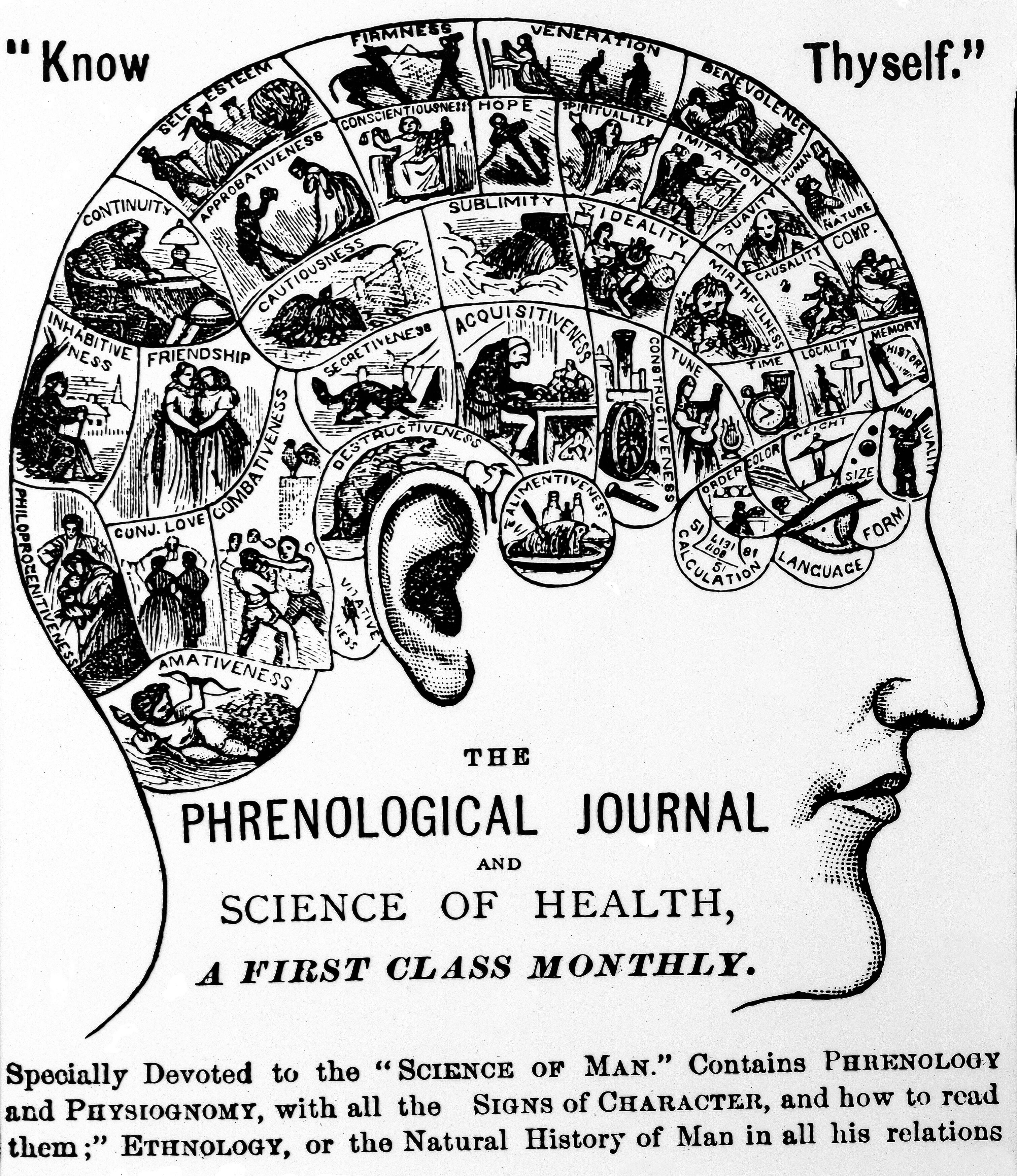 Materials of the Mind: Phrenology, Race, and the Global History of Science,  1815-1920, Poskett