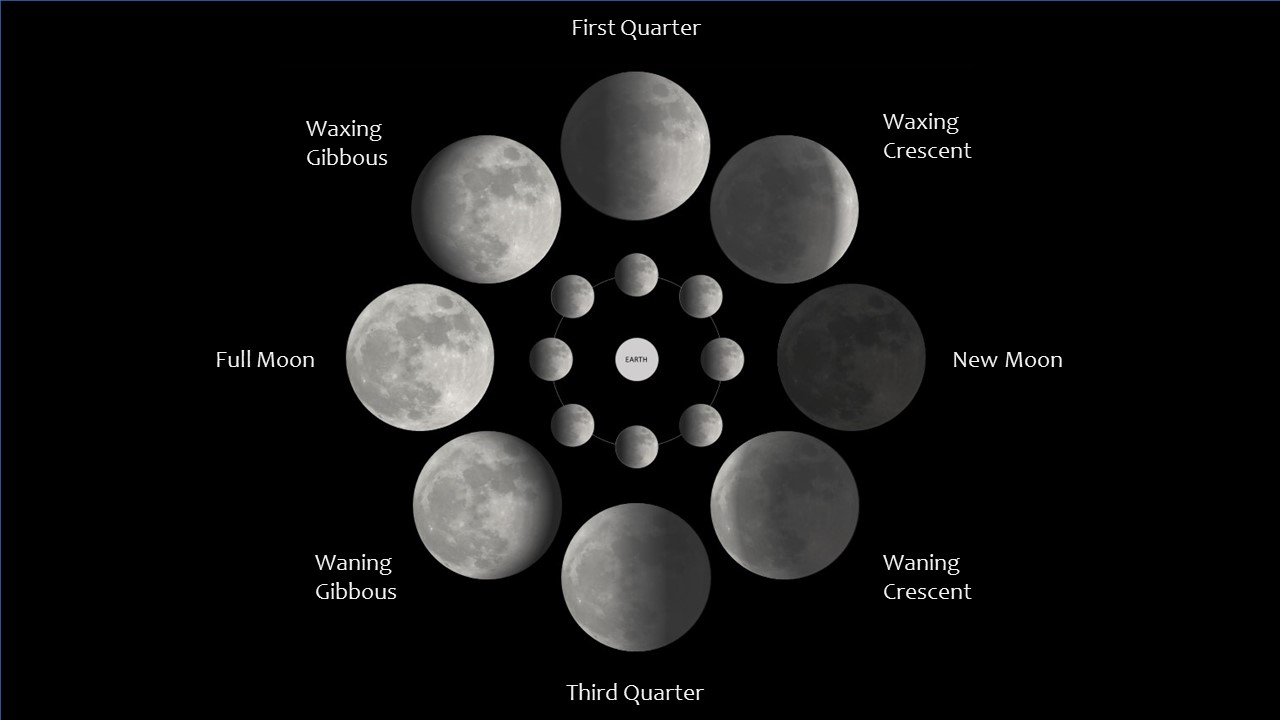 Diagram of moon phrases showing images of moon in different phases.