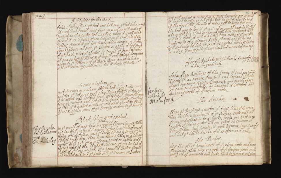 A seventeenth-century recipe book (see figure 1), opened to a different middle page. Paragraphs of writing are visible on both pages.